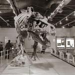 Discovery Center of Idaho