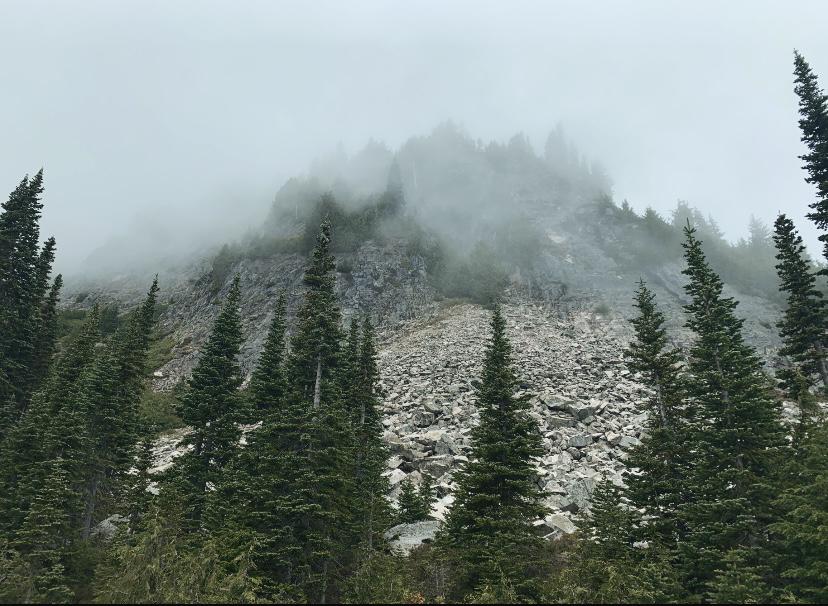 Bench Lake/ Snow Lake trail