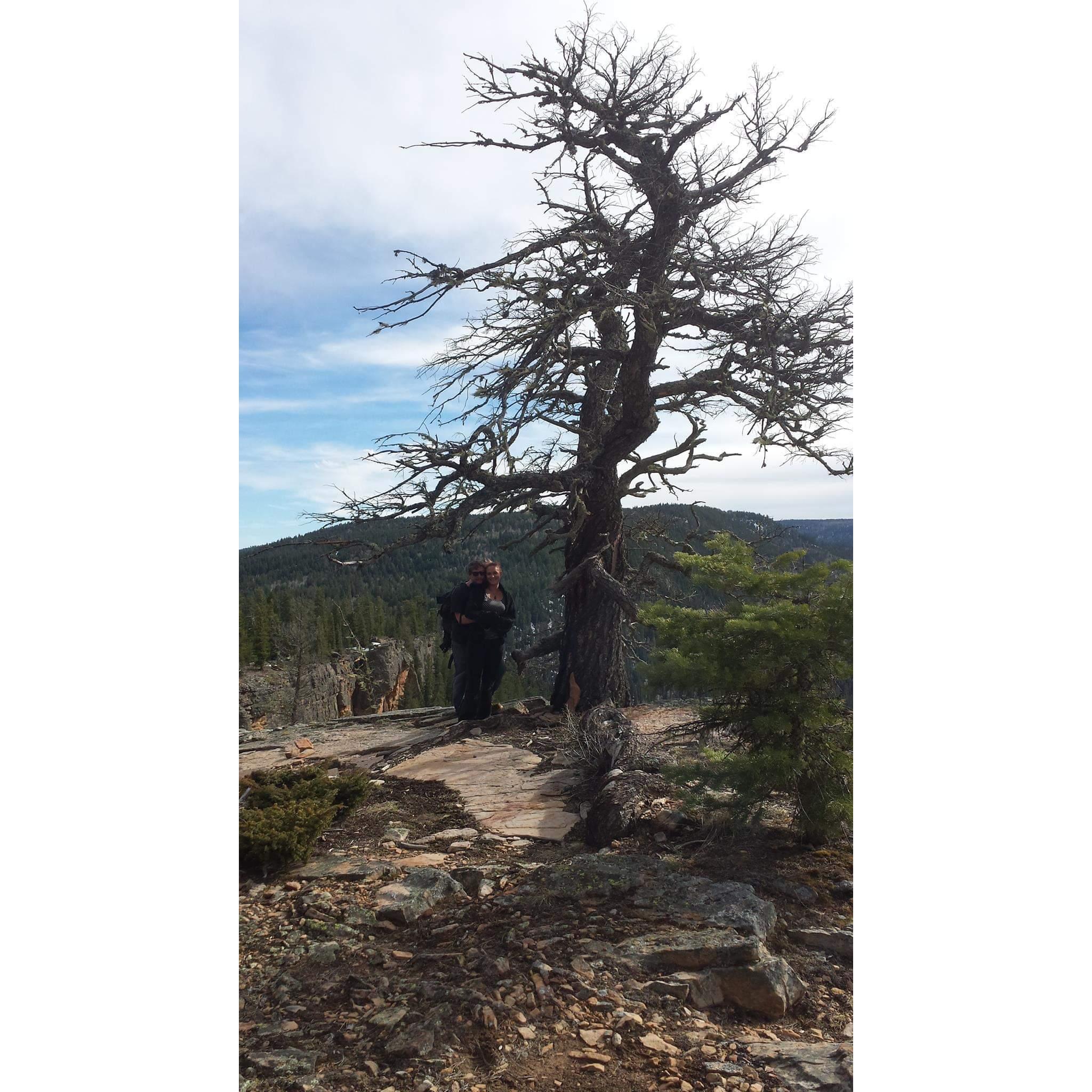 our first hike together