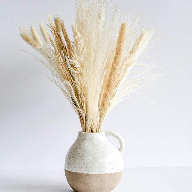 South Pillar - 18" Naturally Dried Pampas Grass Bouquet for Home Decor and Wedding Decorations (White and Natural)