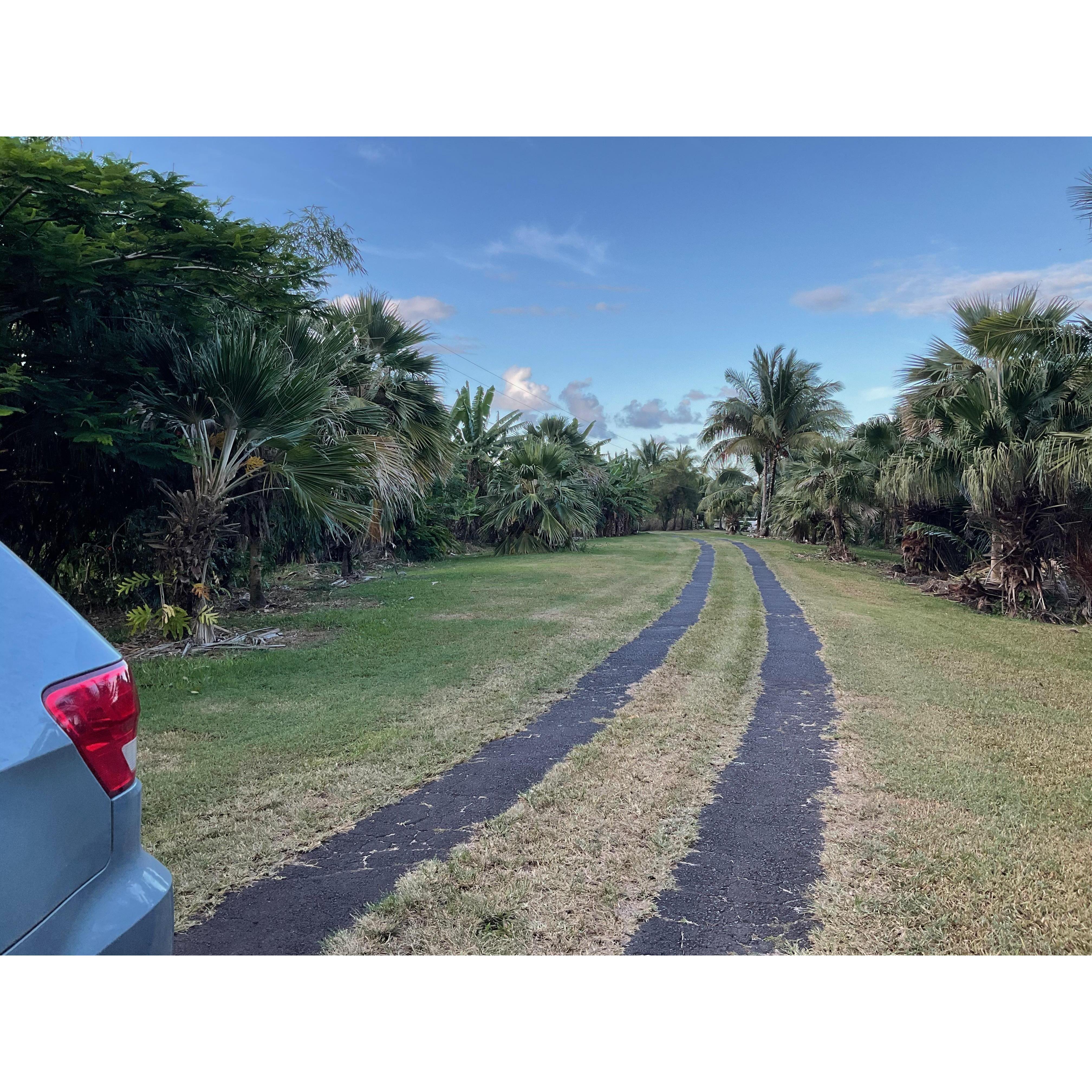 Pull in parking can be done here along the side of the driveway.  Please do not parallel park so that we can allow space for others to park as well.