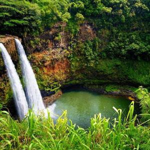 Hawaii Honeymoon/Travel Fund