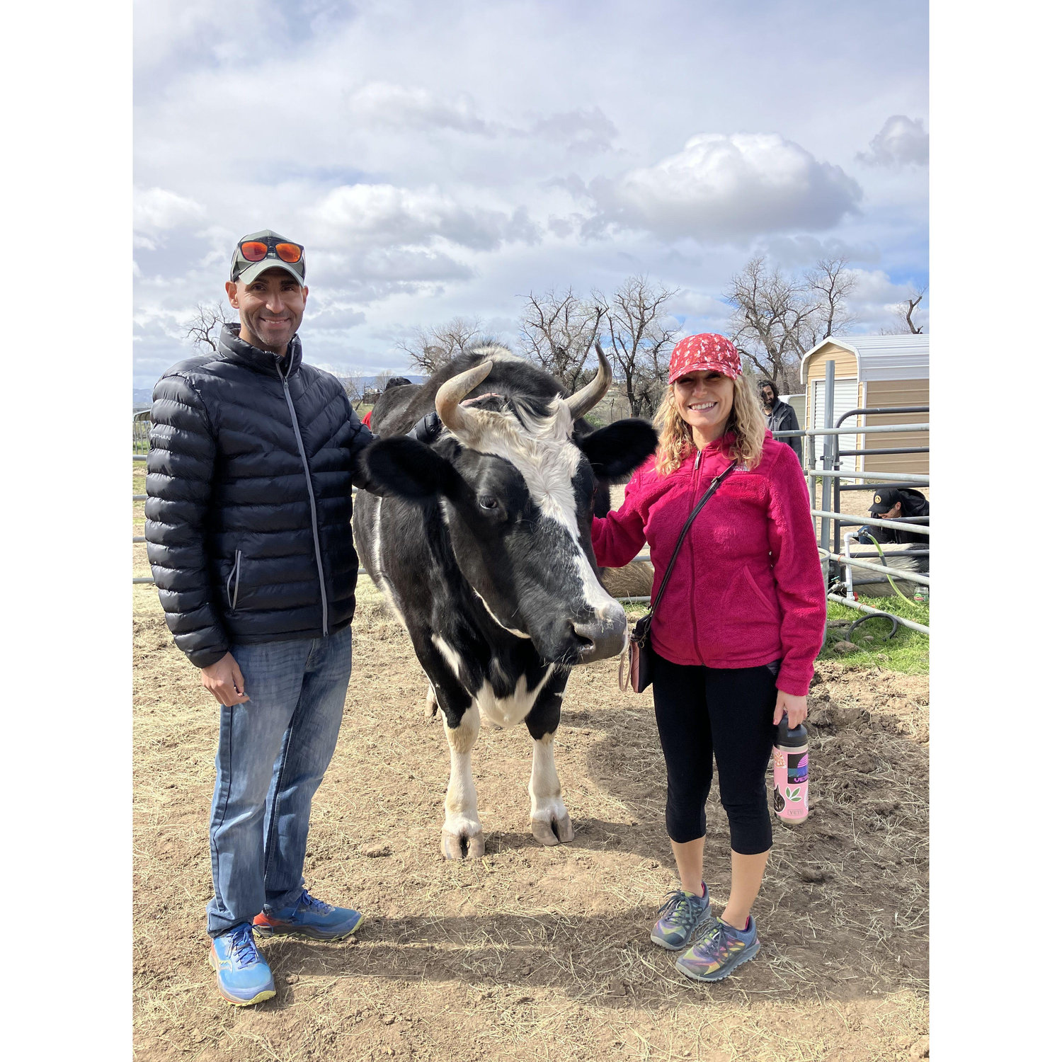 Spending Valentine's Day giving love to animals that have been through so much.