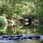Rye Nature Center