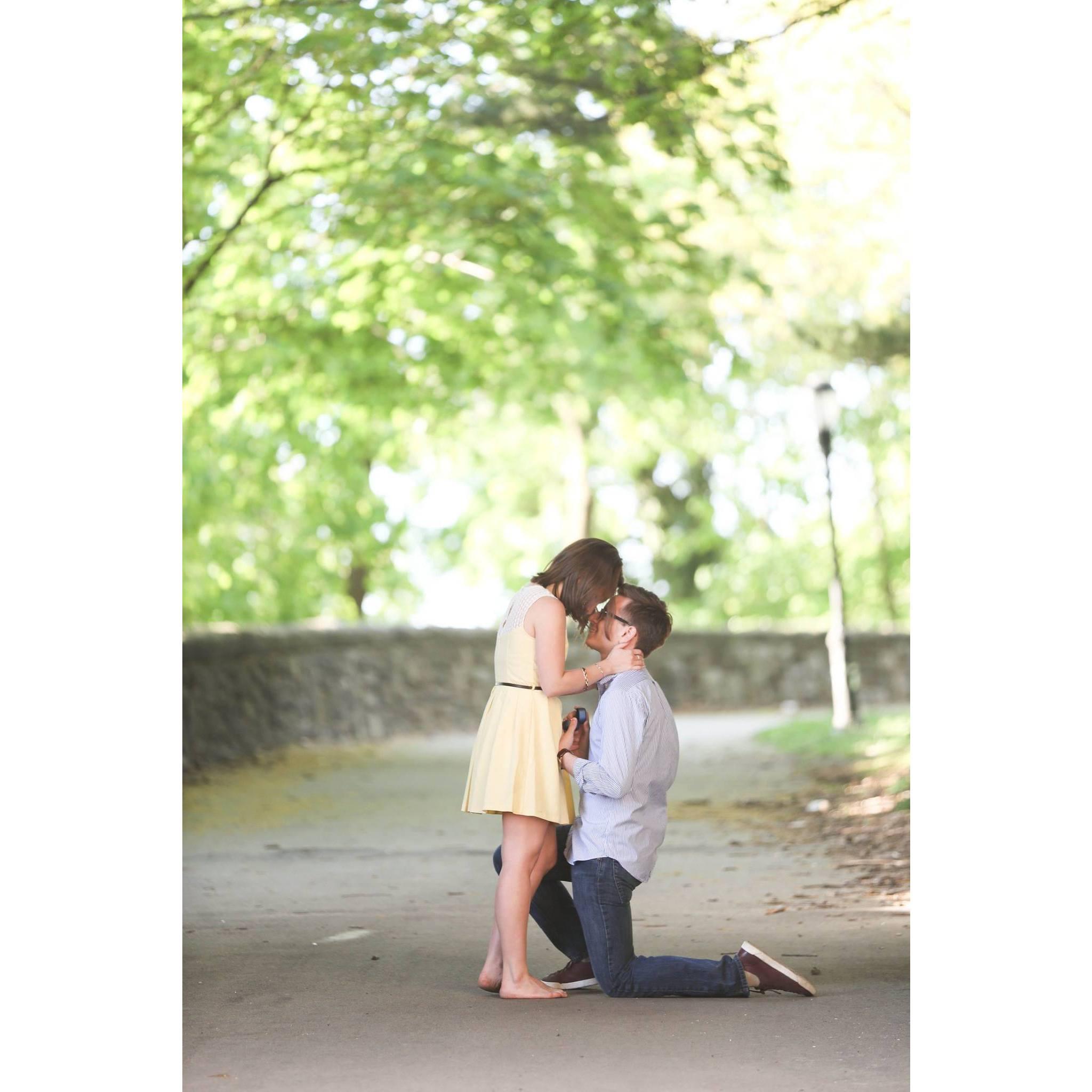Proposal, May 4th, 2013