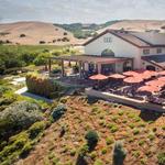Gloria Ferrer Wines