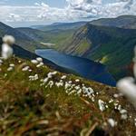Mourne Mountains