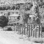 Alcantara Vineyards and Winery