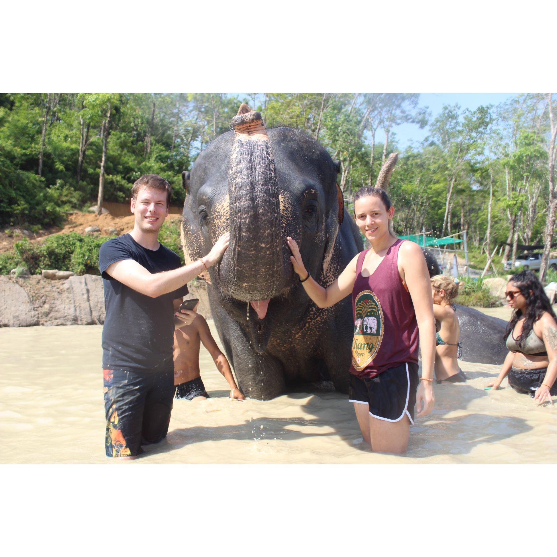 Phuket, Thailand at the elephant sanctuary.