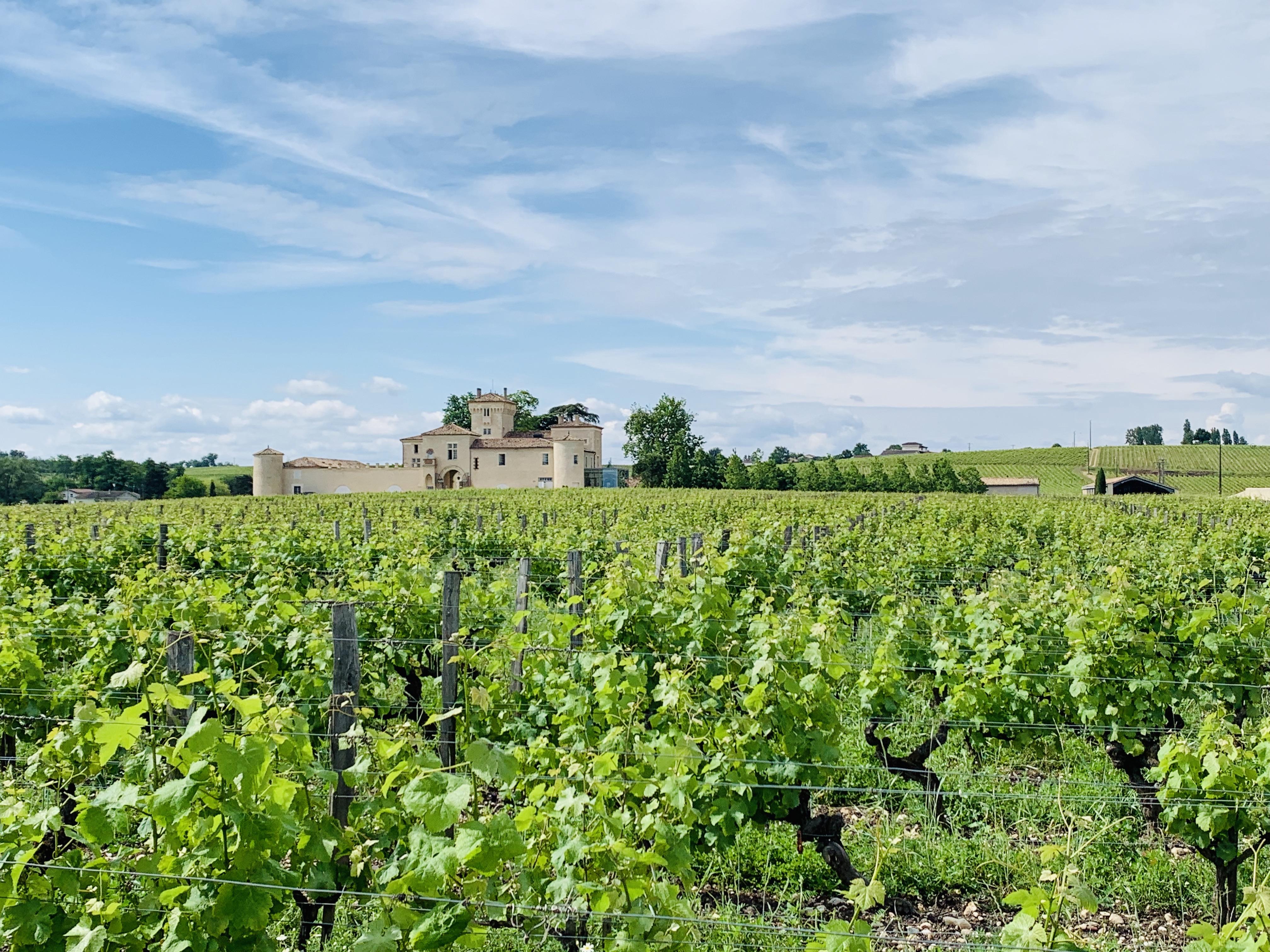 The Wedding Website of Alizabeth Steudler and Zachary Maughn