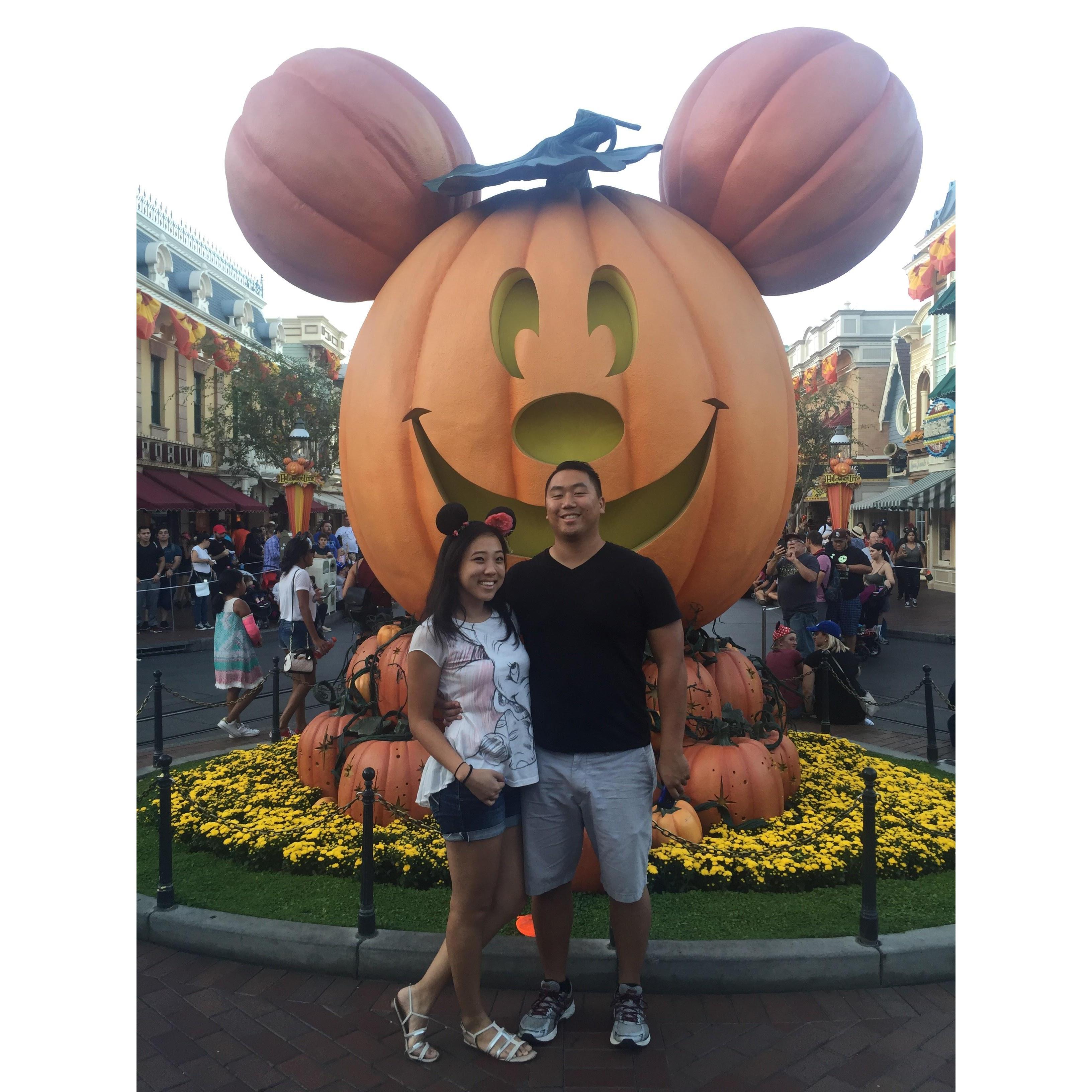 Disneyland 2018