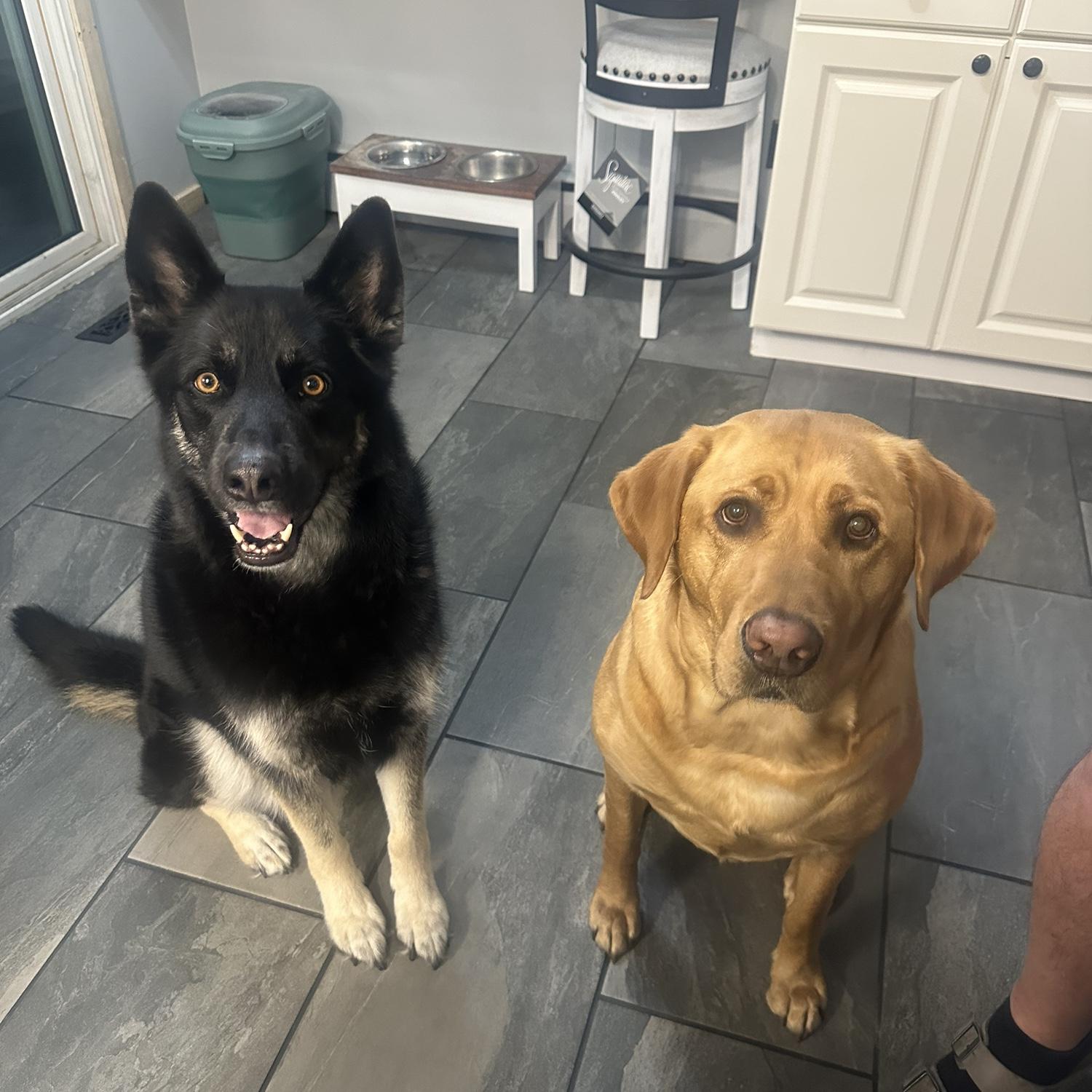 my happy place (with these two)