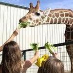 Aggieland Adventure Zoo & Safari Park