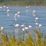 Delta National Park