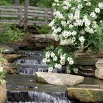 Aldridge Gardens