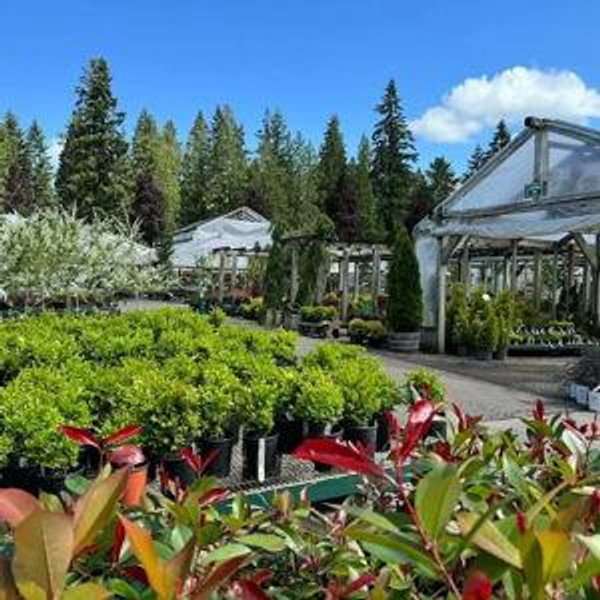 Flower World Gift Cards