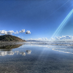 Torrey Pines State Reserve