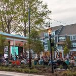 Birkdale Village