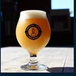 Coastal Mass. Brewing