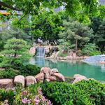The Japanese Friendship Garden of Phoenix