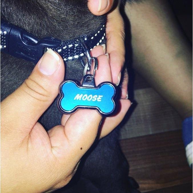 No, he wasn't named with chocolate mousse in mind. Clever though, wish we'd thought of that, 2016.
