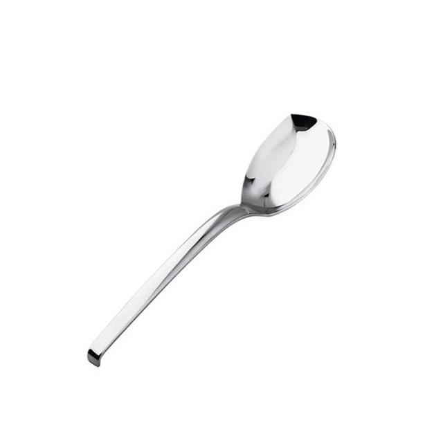 LIVING RICE SPOON