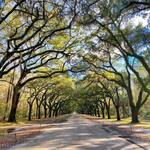 Wormsloe State Historic Site