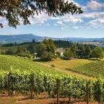 Willamette Valley- wine and more