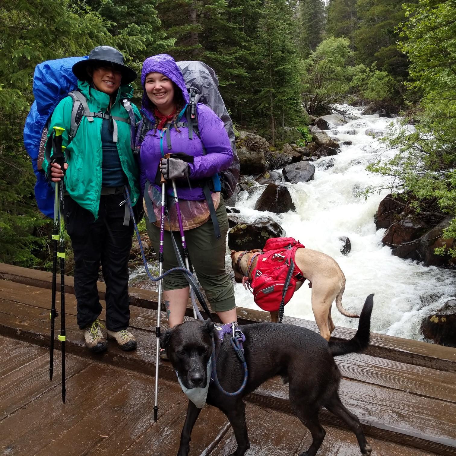 Backpacking, 2018