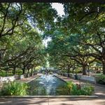 Houston Zoo