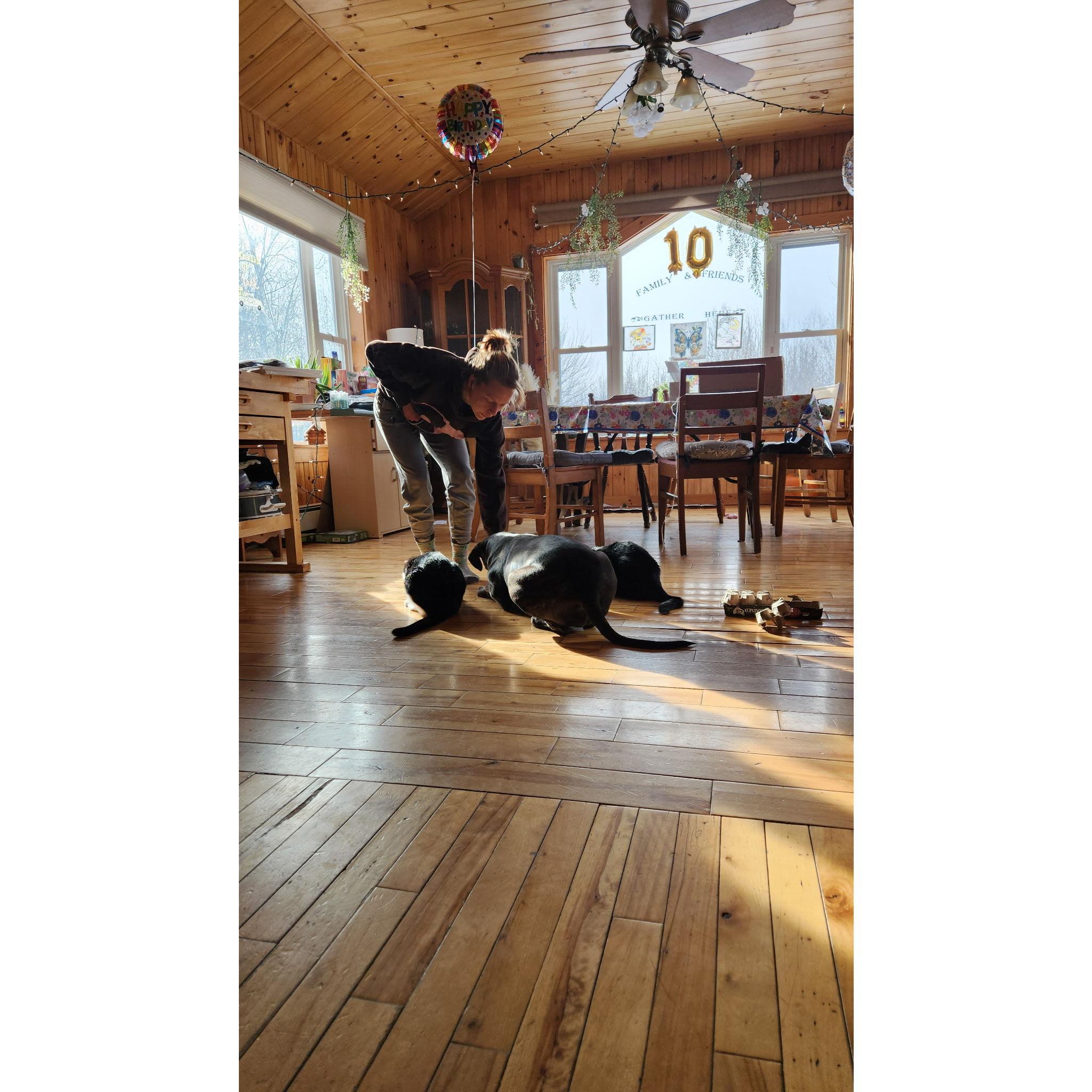 The love of my life doing a family meeting with the other loves of my life.