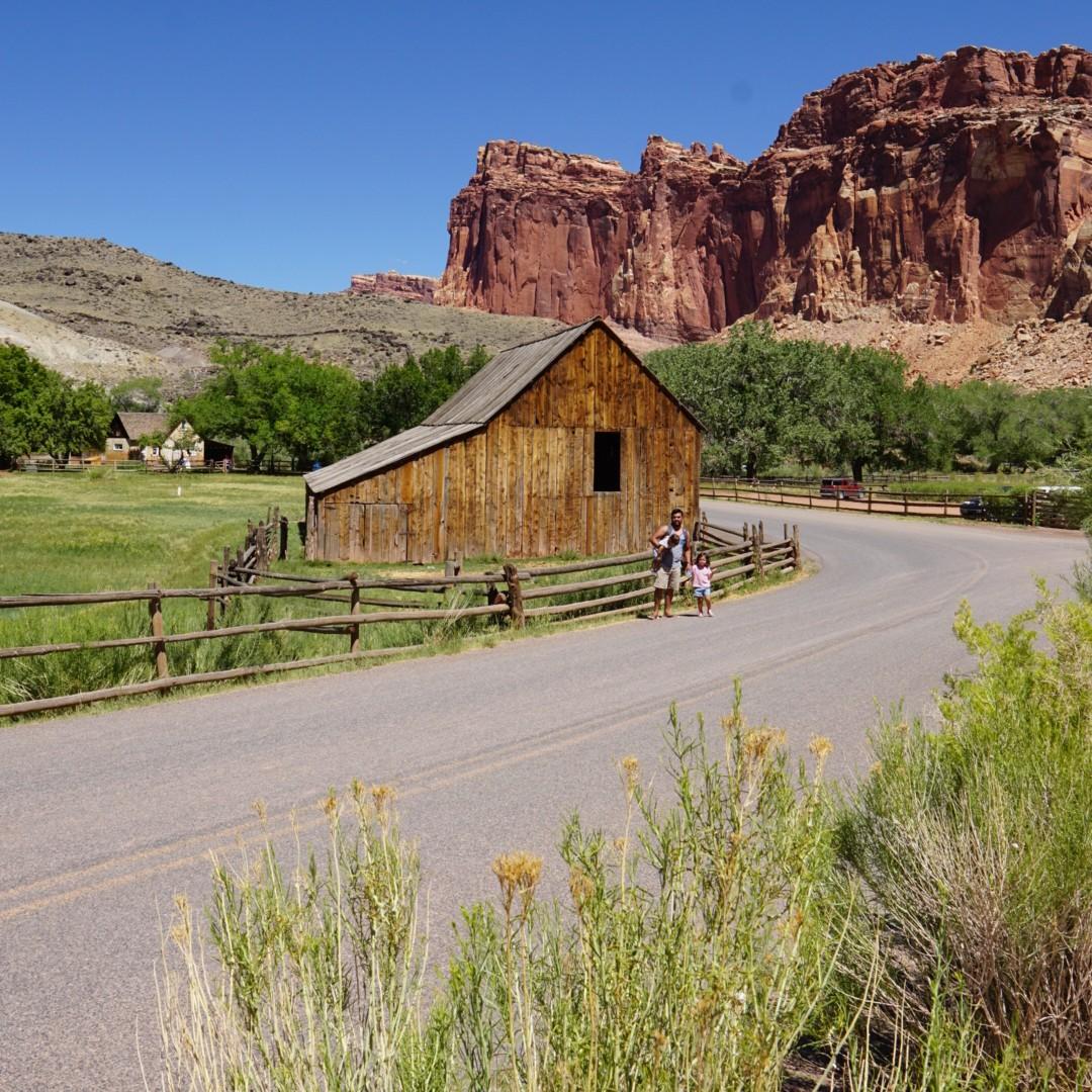 Fruita