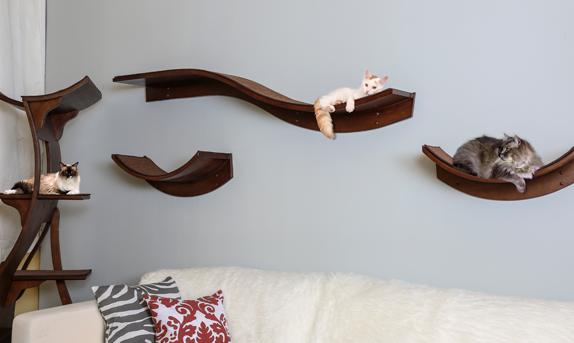 The Refined Feline  :: Lotus Cat Shelves