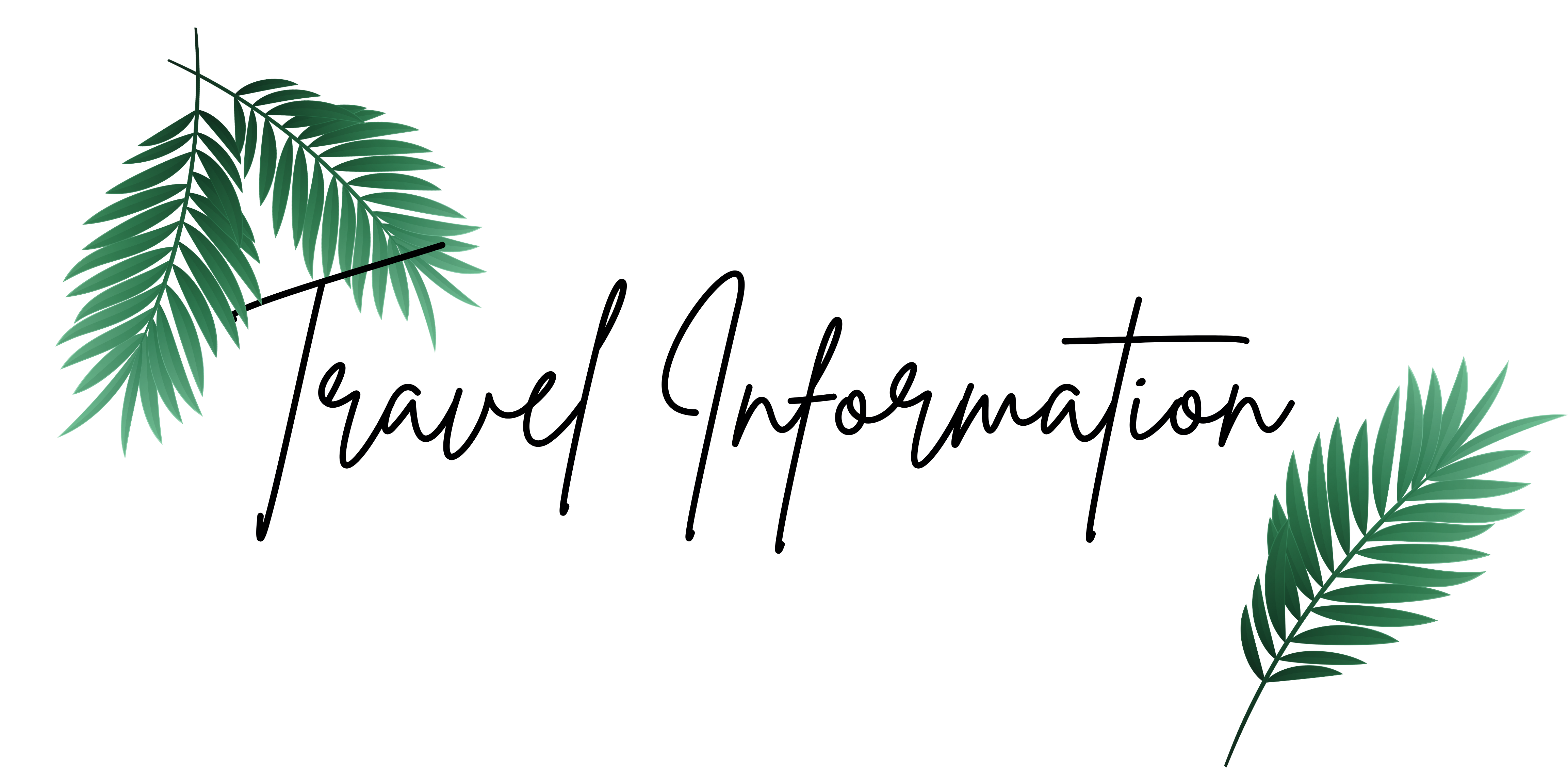 The Wedding Website of Shannon Washington and Christian Palm