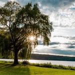 Cayuga Waterfront Trail