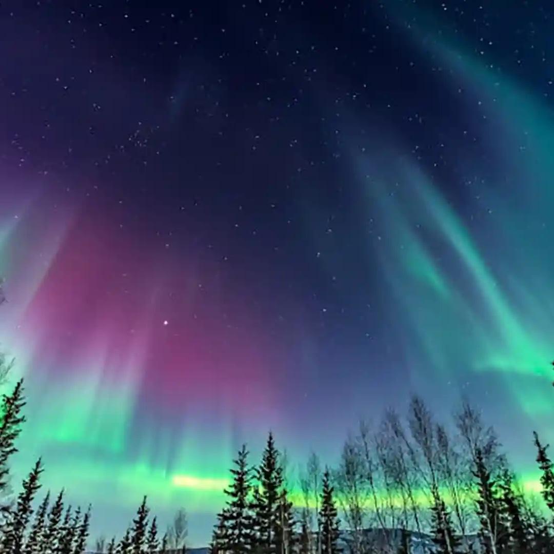 Cruise to Alaska