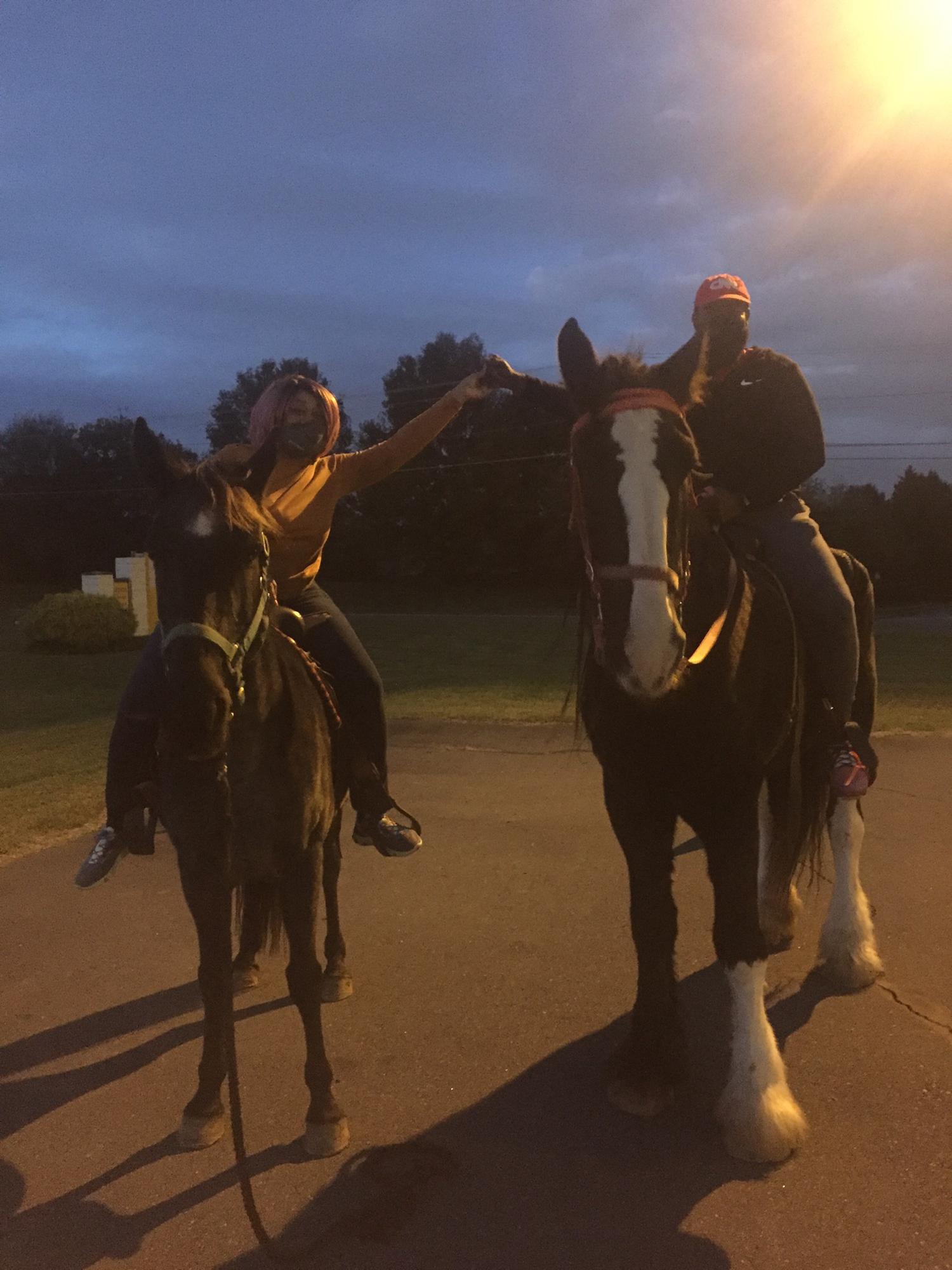 Horse riding in Charlotte, North Carolina
