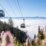 Jackson Hole Aerial Tram and Gondola Rides