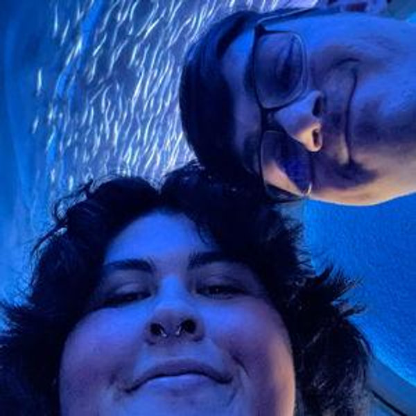Disney honeymoon (fun)d 🫶🏼