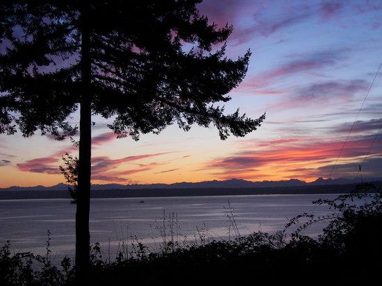 Bainbridge Island Visit