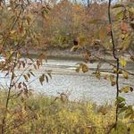 Sycamore Trails