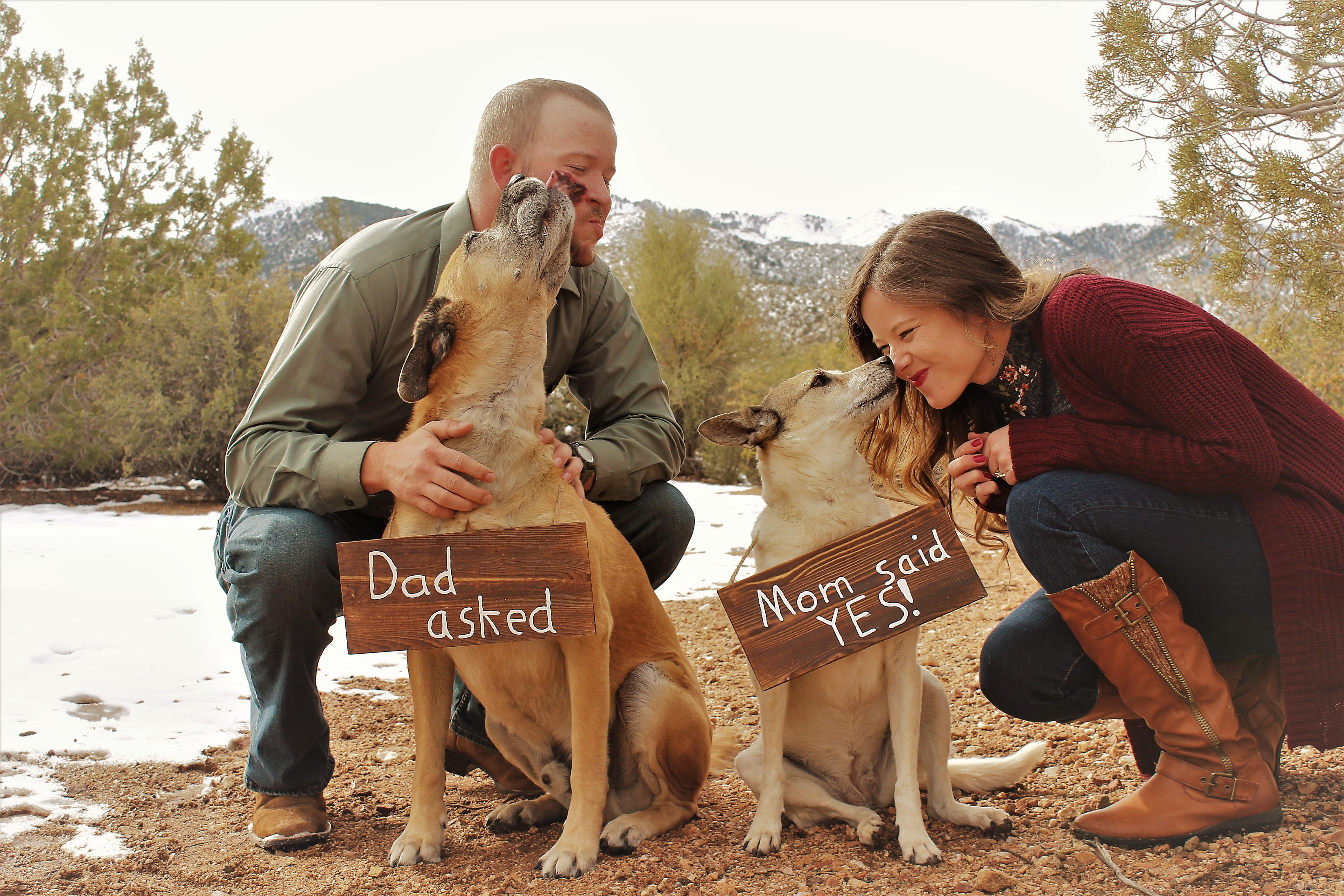 The Wedding Website of Aaron Reichow and Rebekah Russell