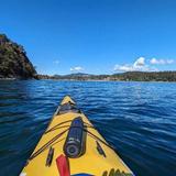 Shearwater Kayak Tours