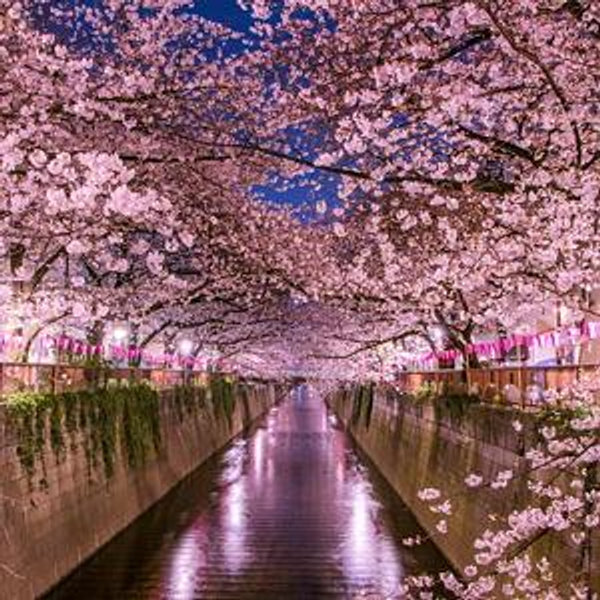 Spending Money for Honeymoon in Japan