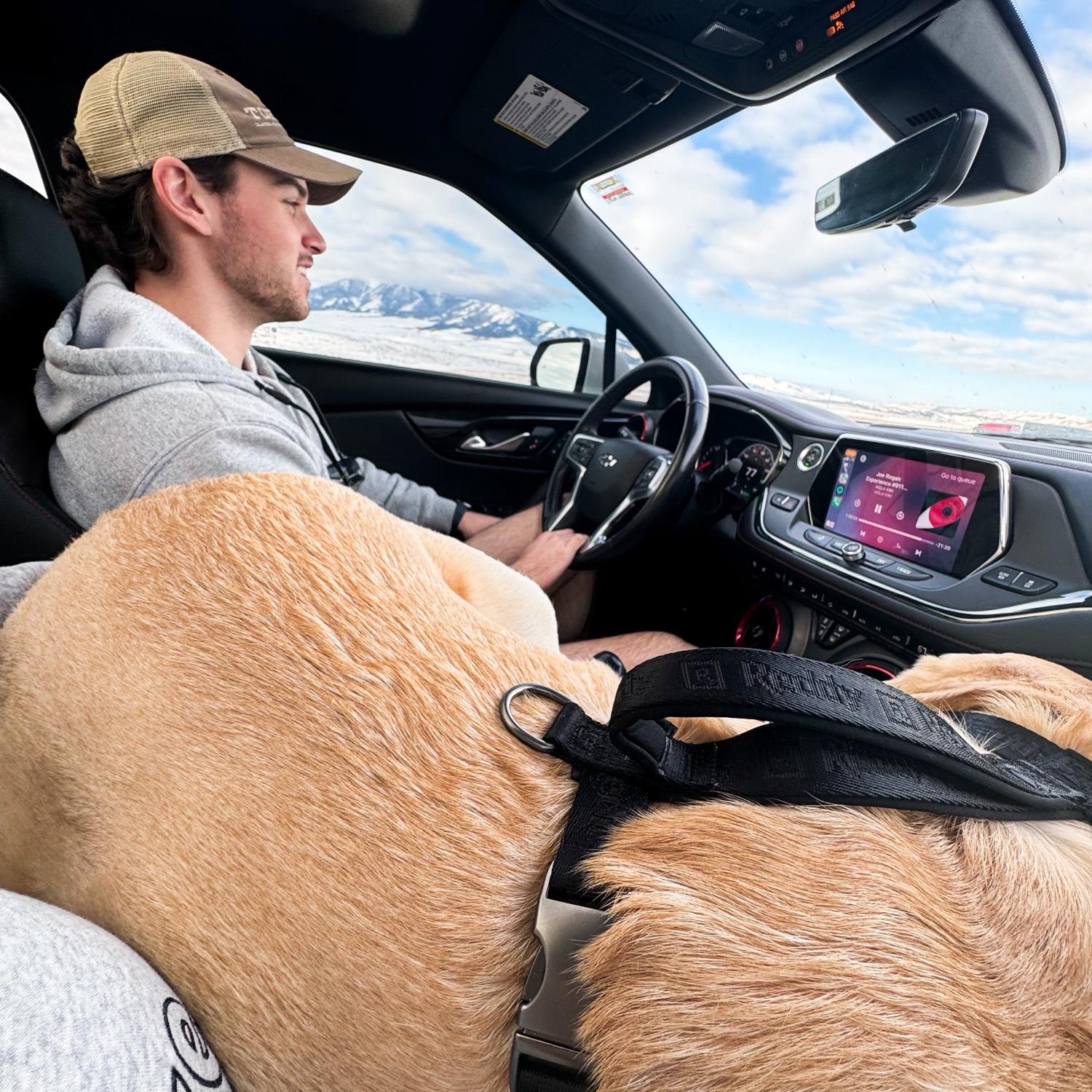 our cross country road trip to Idaho where Ryan did most of the driving and Koe just HAD to sit in my lap