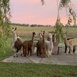 Rainbow Valley Family Farms
