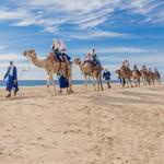 Outback and Camel Ride Safari