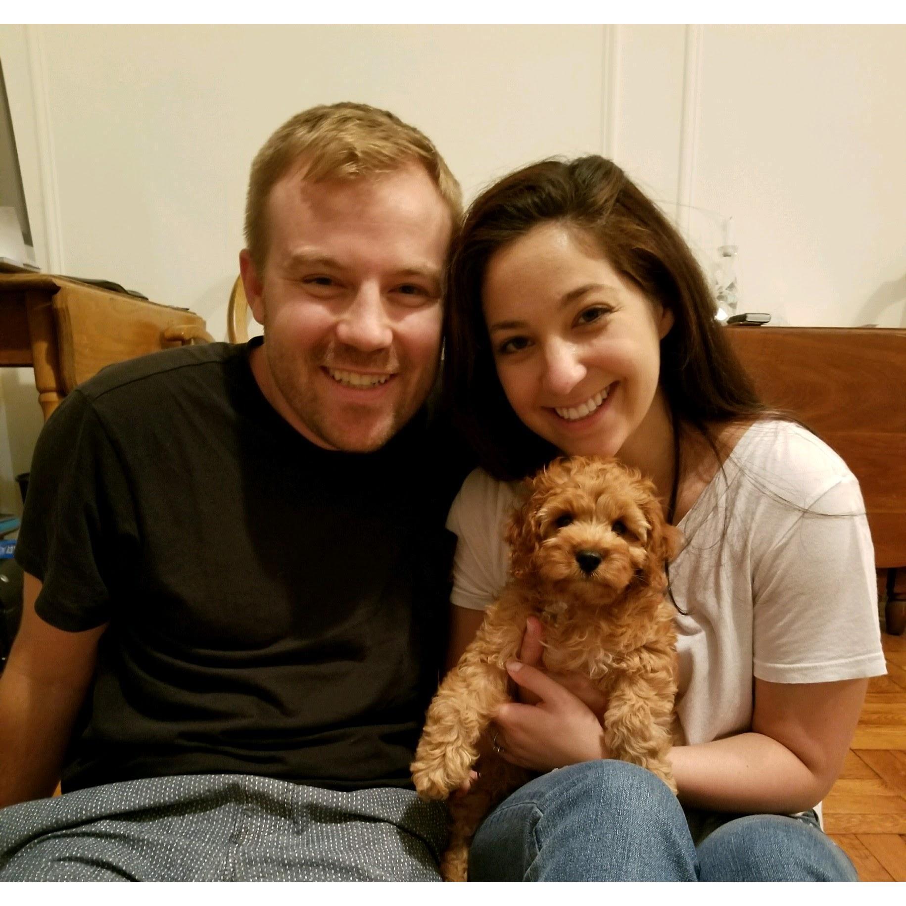 First day with Timber!