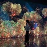 Arte Museum Las Vegas
