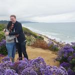 Torrey Pines State Natural Reserve